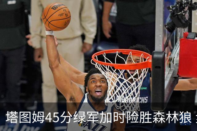 塔图姆45分绿军加时险胜森林狼 步行者克奇才